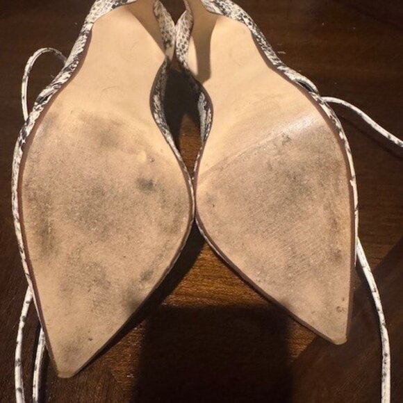 Steve Madden Snakeskin booties - Picture 6 of 8